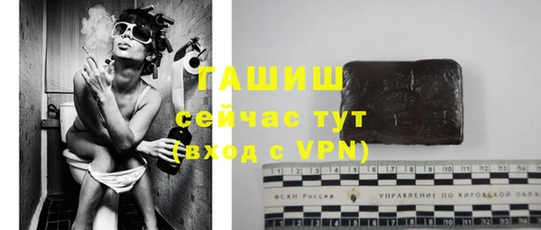 ешки Алексин