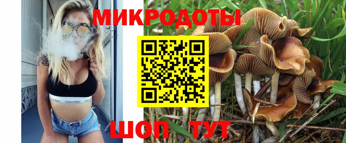 Псилоцибиновые грибы Cubensis Ишим