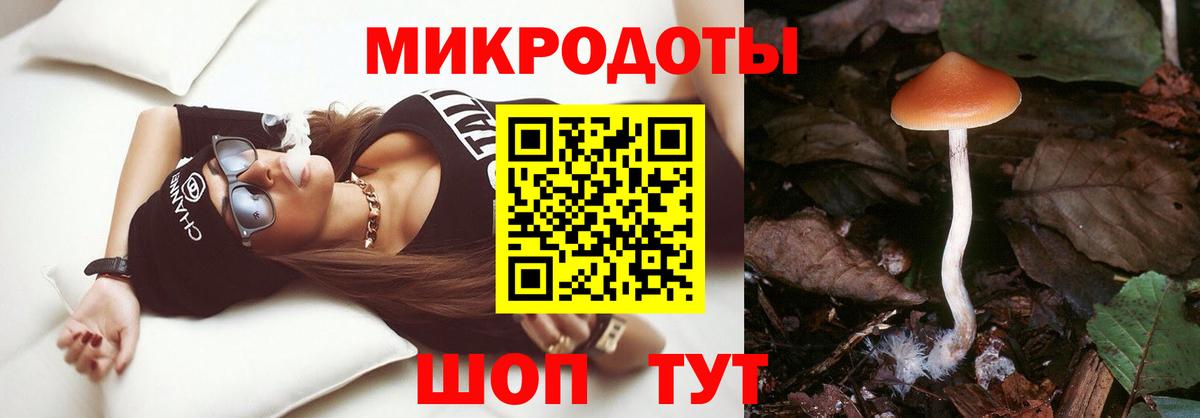 Ишим  Псилоцибиновые грибы Cubensis  Вход с VPN 